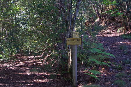 Grass Tree Ridge