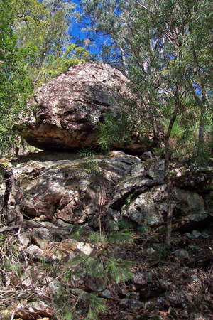 Grass Tree Ridge