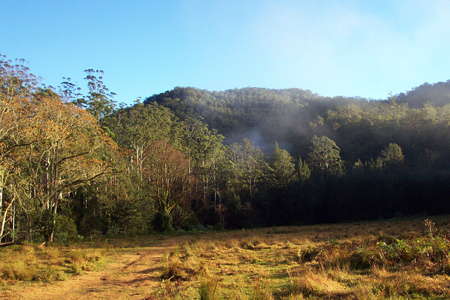 Upper Bellinger River