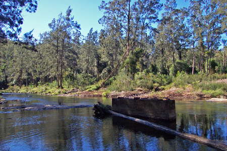 Upper Bellinger River