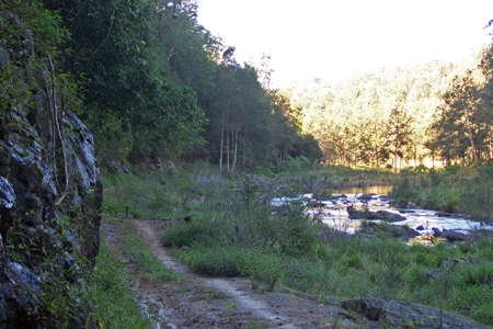 Upper Bellinger River