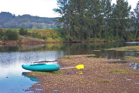 Lower Bellinger River