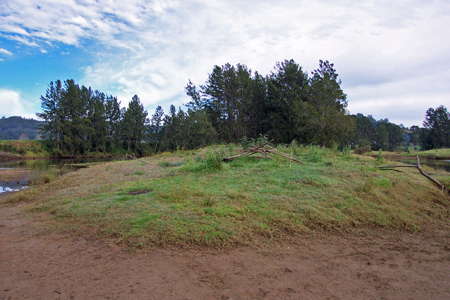 Lower Bellinger River