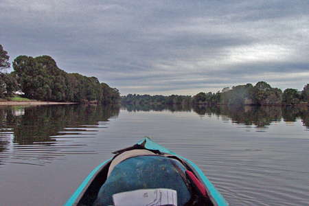 Lower Bellinger River