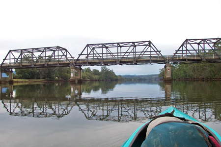 Lower Bellinger River