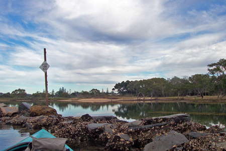 Lower Bellinger River