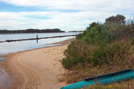 Lower Bellinger River