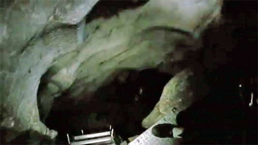 Chauvet Cave ladder