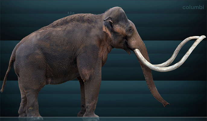 columbian mammoth