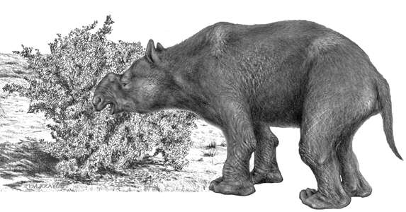 Diprotodon