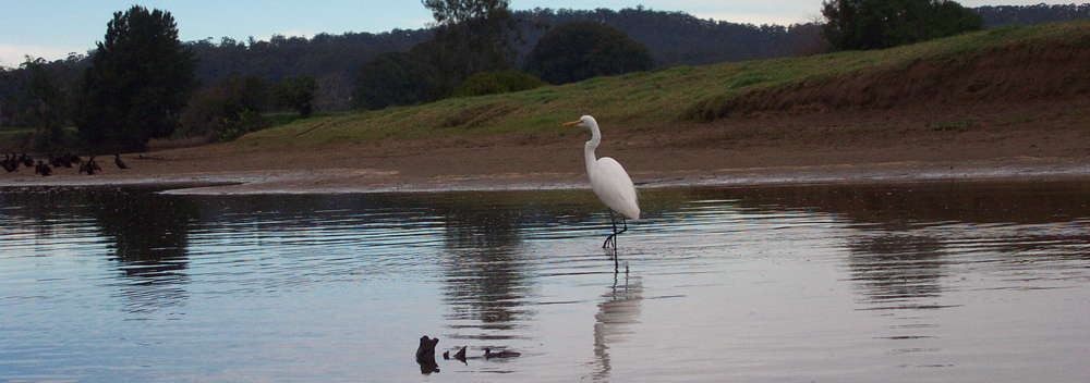 Bellinger River