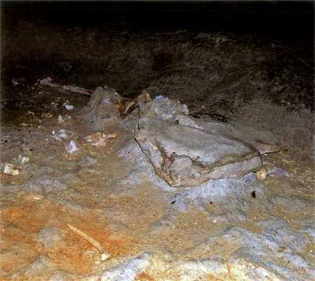 Skull Chamber