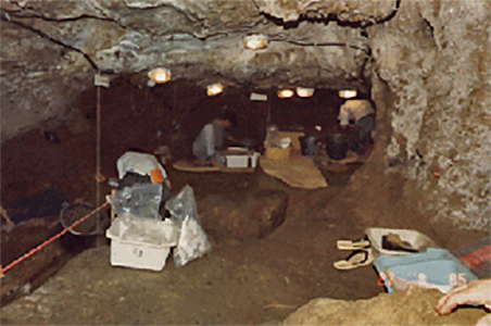 Grottes du Pape, Brassempouy