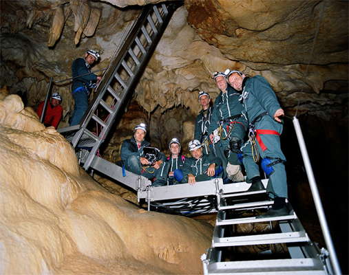 Chauvet Cave ladder