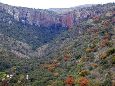 Makapansgat valley