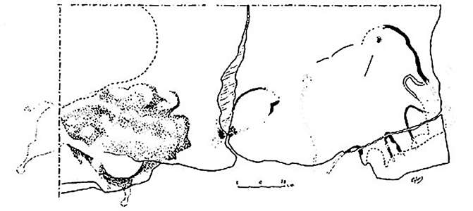 Abri Reverdit mammoth and bison