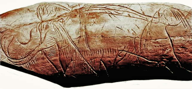 mammoth engraving