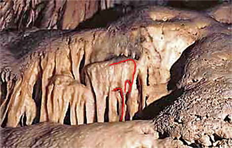 mammoth on stalagmite lined