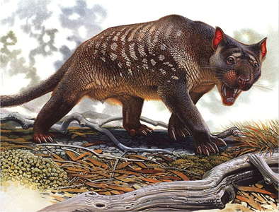 Marsupial Lion