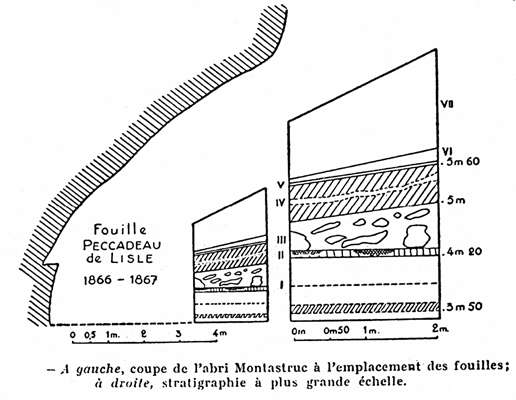 montastruc coupe 