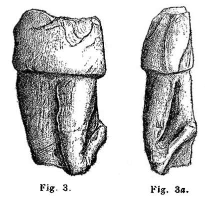  Figurine a la pelerine