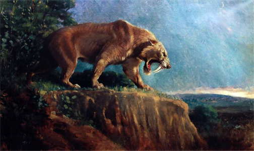 Sabre tooth cat