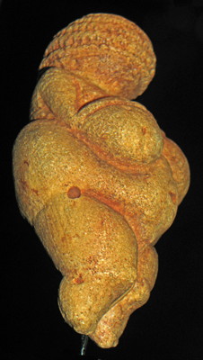 venus of willendorf