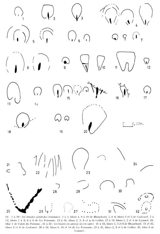 Vulva diagrams Delluc