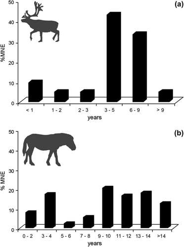 Vogelherd animal ages