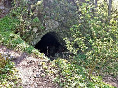 Bärenhöhle