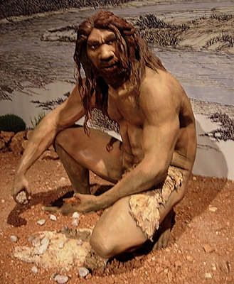 Homo heidelbergensis