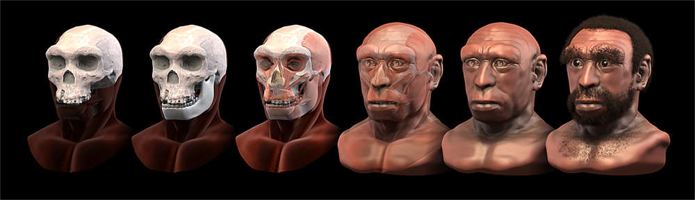 Homo heidelbergensis