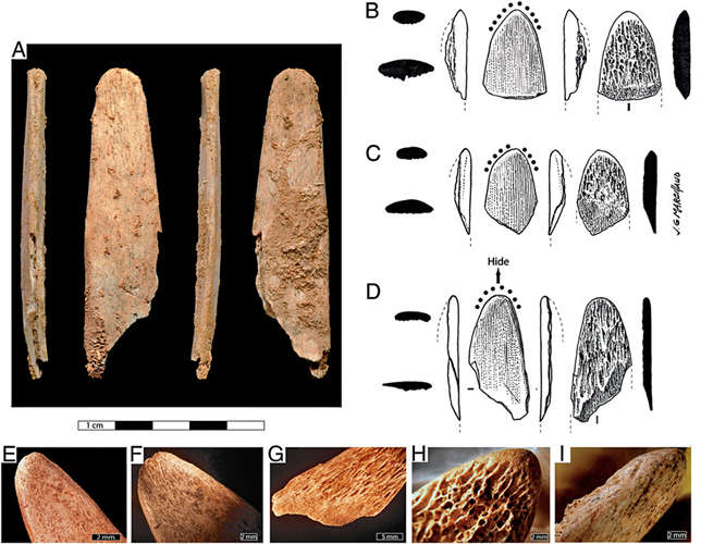 neanderthal tools 