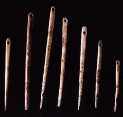 Courbet needles