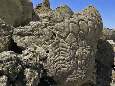 Winnemucca Petroglyphs