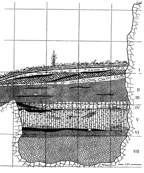  Vogelherd profile 1