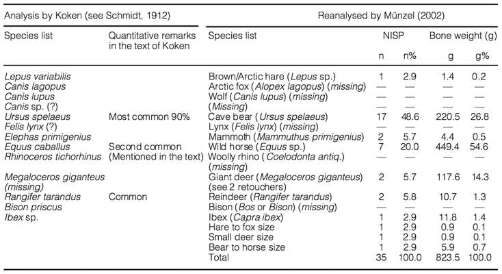 Sirgenstein fauna table
