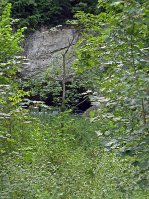 Hohlenstein Stadel