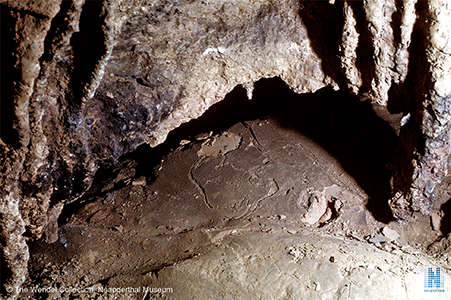 Grotte de Bedeilhac