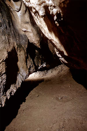 Grotte de Bedeilhac