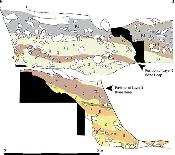 Bone Heaps