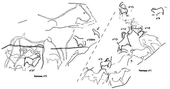 Pair-non-Pair ibex