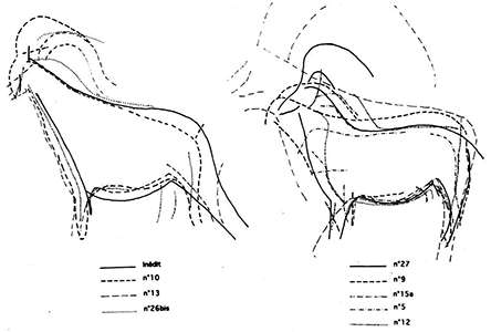 Pair-non-Pair ibex