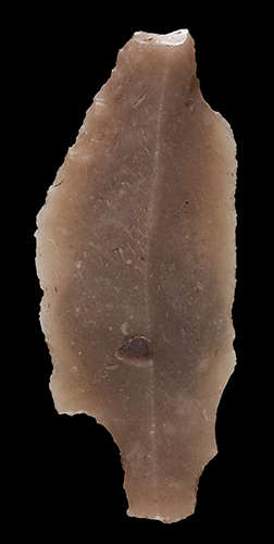 Kerfspits van het type Havelte - Shouldered or Tanged points of the Havelte type