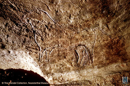 Salle des Bisons paintings