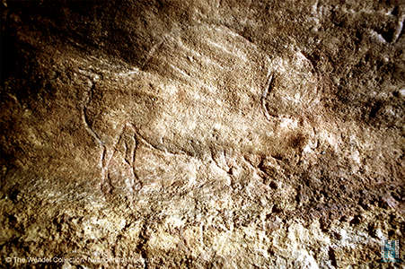 Salle des Bisons paintings