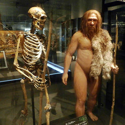 Neandertal ferrassie