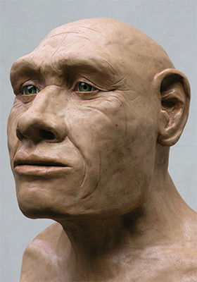 Neanderthal model