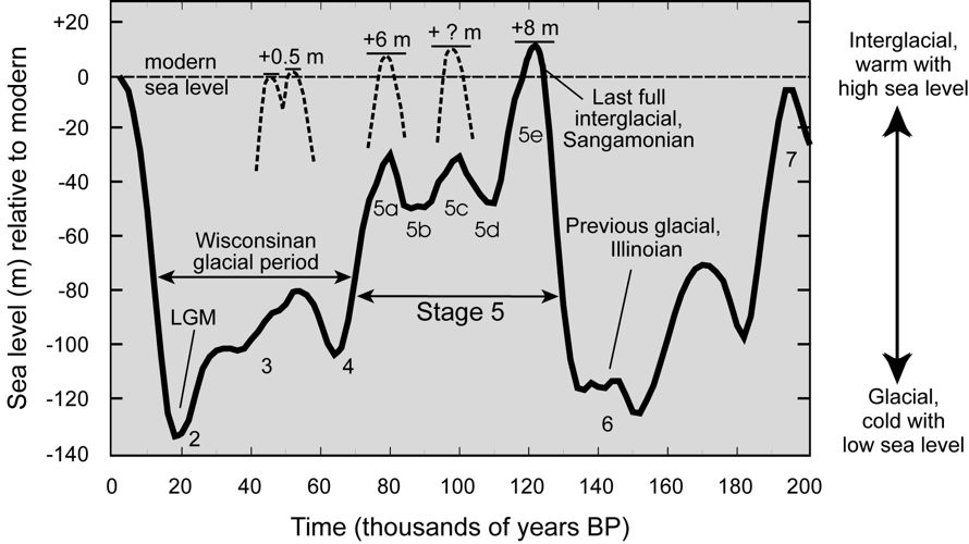 sea levels