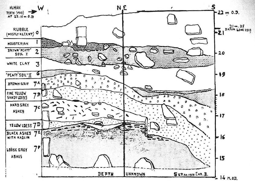 section cotte 1953sm